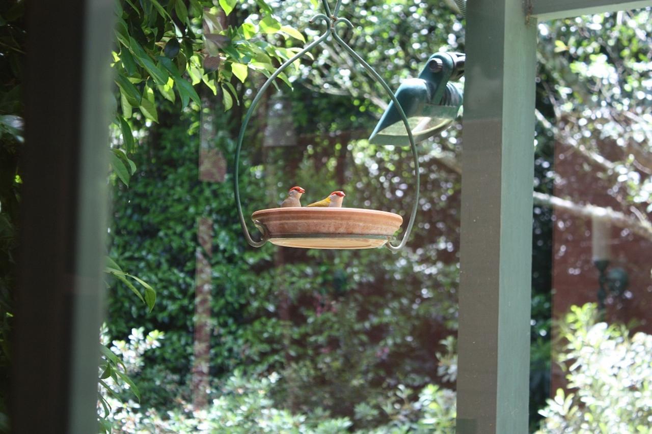 Bed and Breakfast Mandalay House Bellawongarah Esterno foto